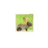 Set Puzzles De Animales 6 Piezas - Imagen 3