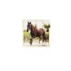 Set Puzzles De Animales 6 Piezas - Imagen 8