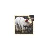 Set Puzzles De Animales 6 Piezas - Imagen 5