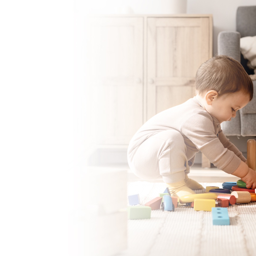 Banner-web-seigard