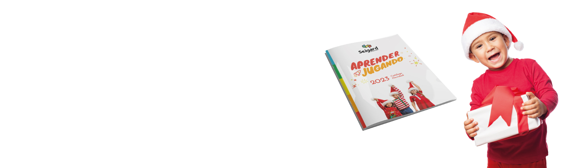 Banner-web-seigard1 (1)