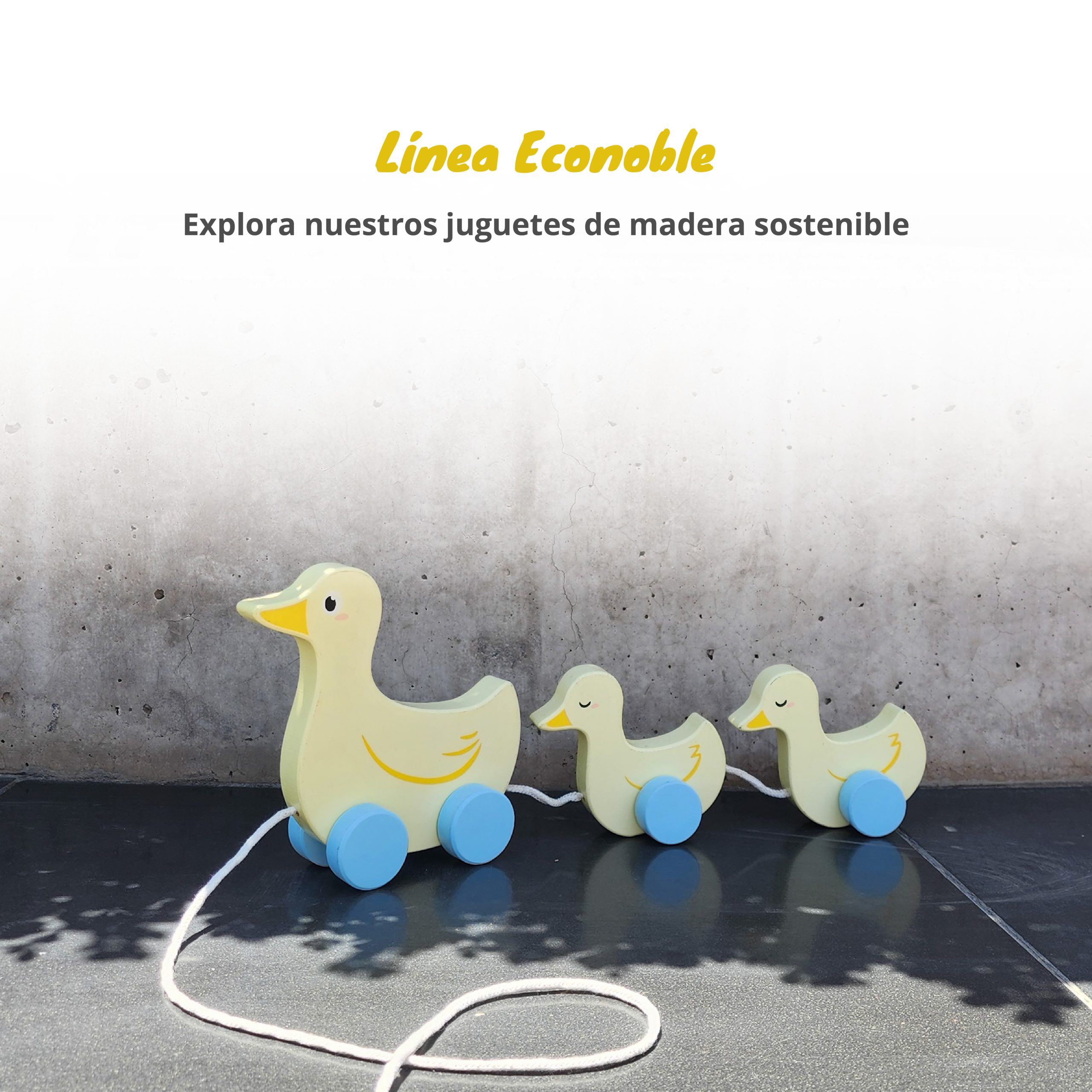 Banner econoble-02