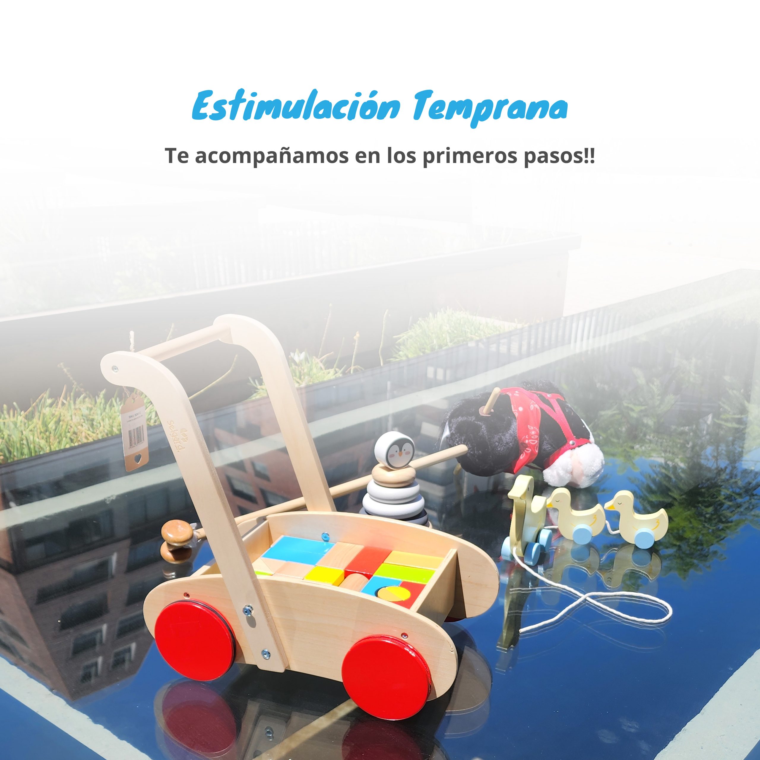 banner est. temp-02